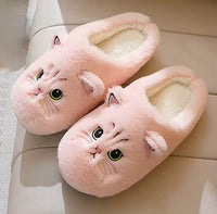 Meow Slippers