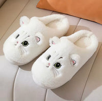 Meow Slippers